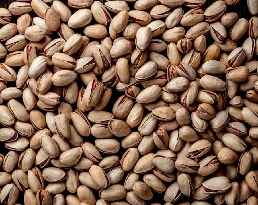 خرید و فروش پسته خام با شرایط فوق العاده